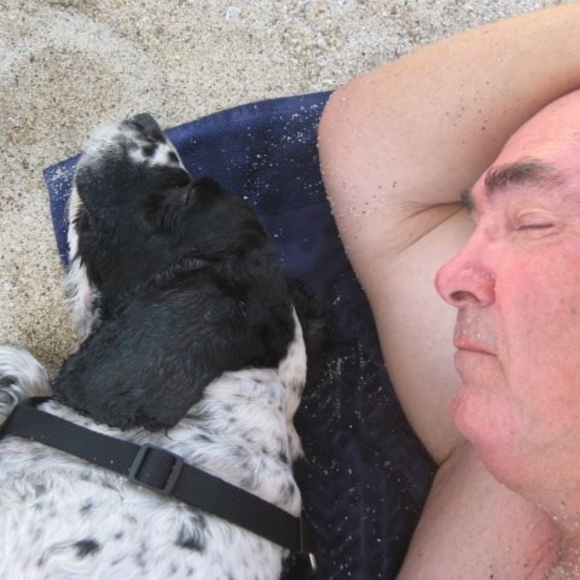 Meet your Posher, Susy - Picture 1 of 1